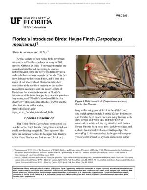 House Finch (Carpodacus Mexicanus)1