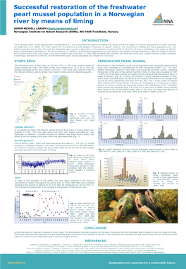 Freshwater Pearl Mussel Population in a Norwegian River by Means of Liming