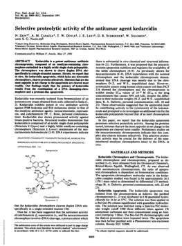 Selective Proteolytic Activity of the Antitumor Agent Kedarcidin N