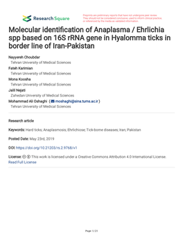 Molecular Identification of Anaplasma / Ehrlichia Spp Based on 16S Rrna