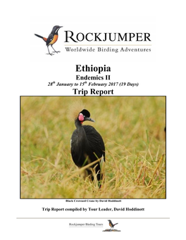 Ethiopia Endemics II 28Th January to 15Th February 2017 (19 Days) Trip Report