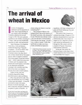 The Arrival of Wheat in Mexico