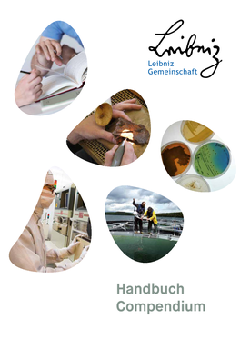 Download Handbuch (PDF)