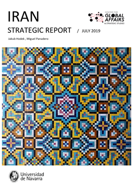 STRATEGIC REPORT / JULY 2019 Jakub Hodek , Miguel Panadero