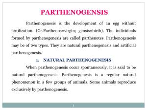 Parthenogensis