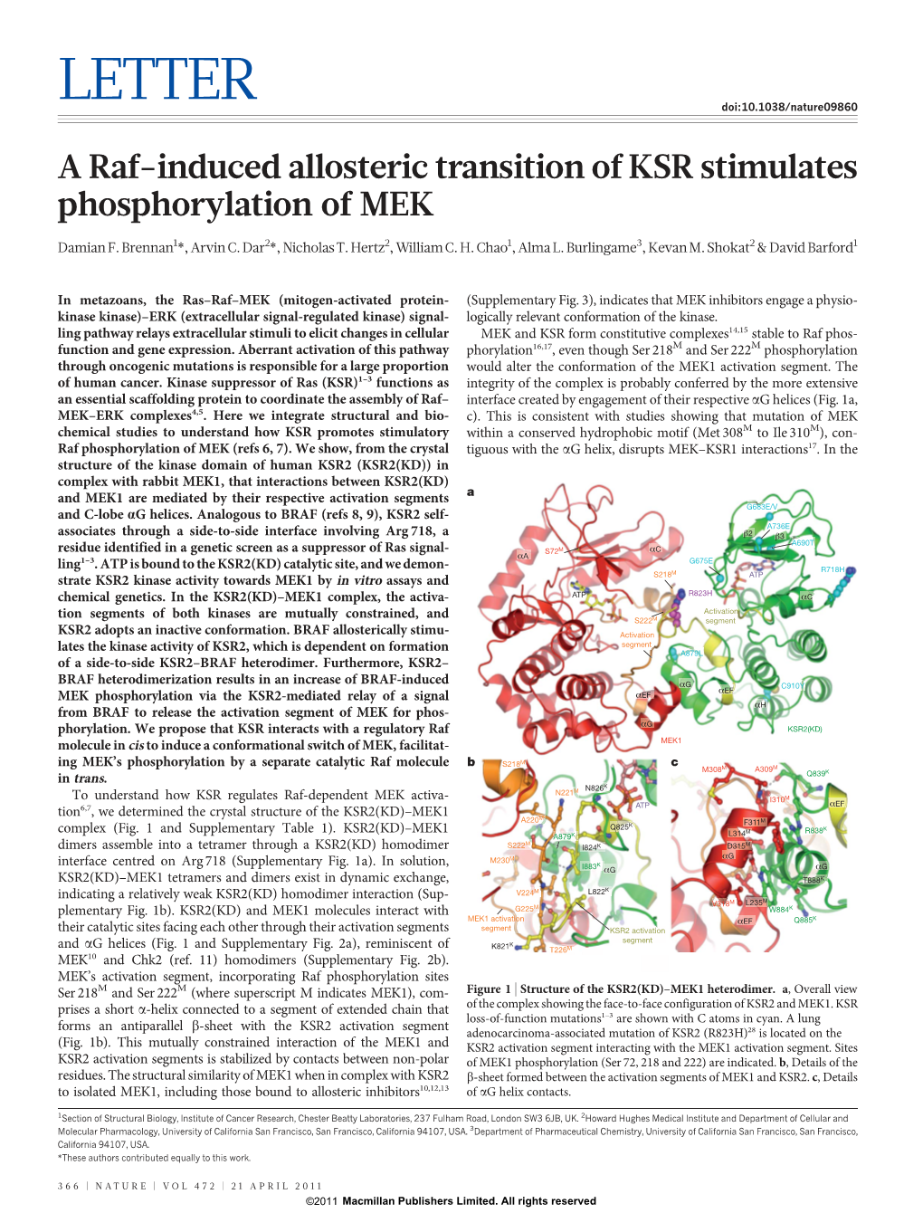 A Raf-Induced Allosteric Transition of KSR Stimulates Phosphorylation of MEK