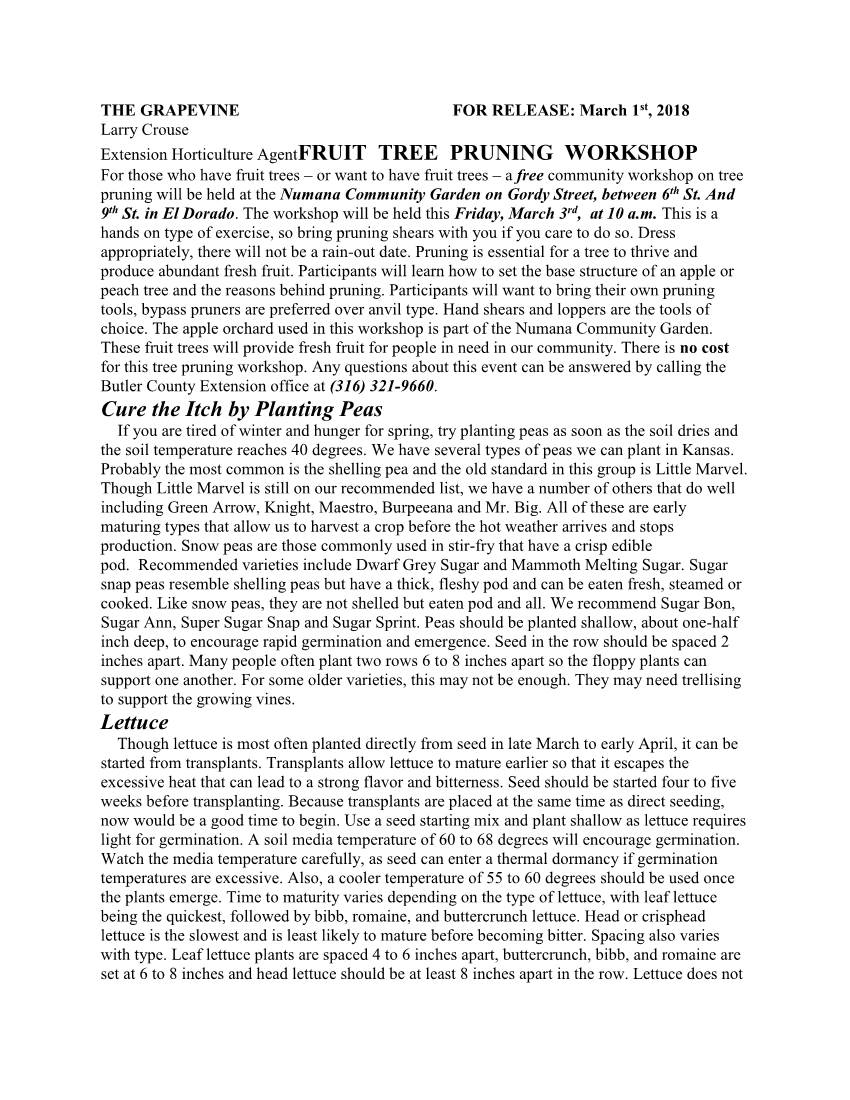 Extension Horticulture Agentfruit TREE PRUNING WORKSHOP Cure