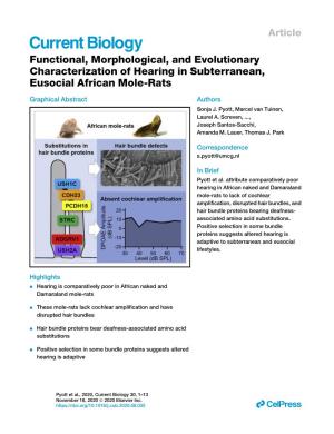 Functional, Morphological, and Evolutionary Characterization of Hearing in Subterranean, Eusocial African Mole-Rats