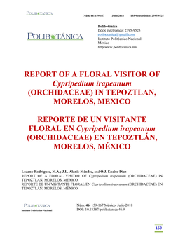 REPORT of a FLORAL VISITOR of Cypripedium Irapeanum (ORCHIDACEAE) in TEPOZTLAN, MORELOS, MEXICO