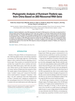 Phylogenetic Analysis of Ruminant Theileria Spp. from China Based on 28S Ribosomal RNA Gene