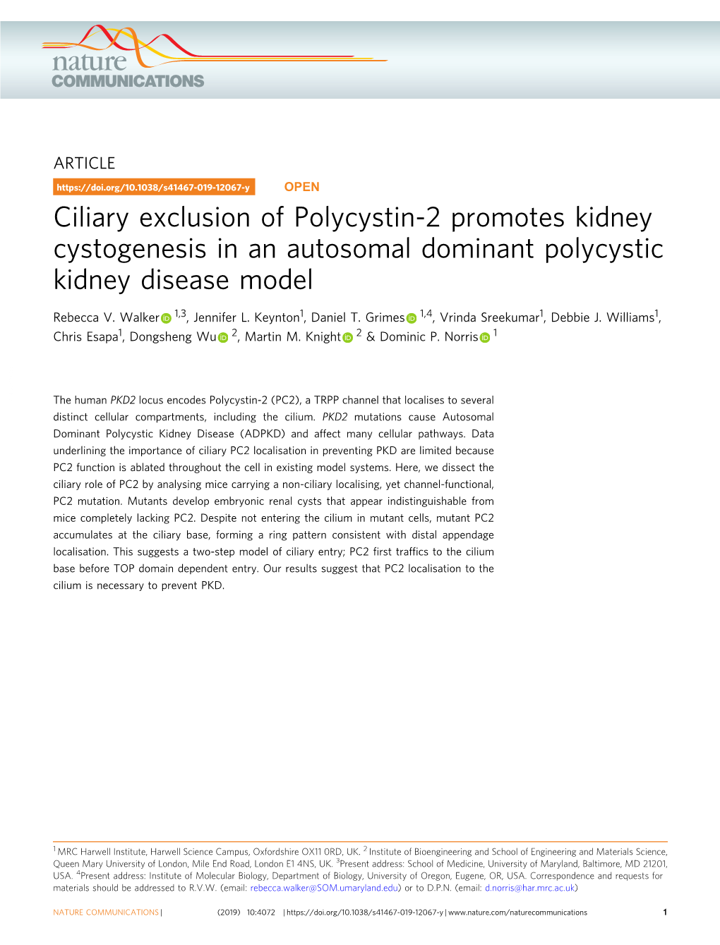 Ciliary Exclusion of Polycystin-2 Promotes Kidney Cystogenesis in an Autosomal Dominant Polycystic Kidney Disease Model