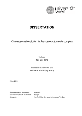 Dissertation