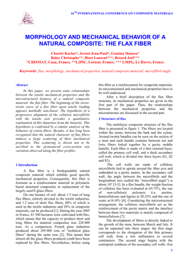 Morphology and Mechanical Behavior of a Natural Composite