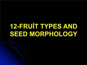 12-Fruit and Seed Types, Seed Morphology