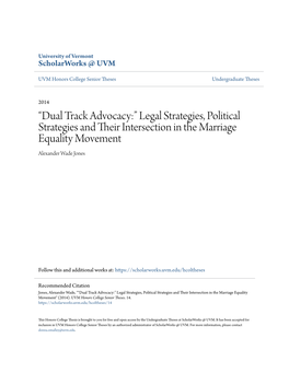 Legal Strategies, Political Strategies and Their Intersection in The