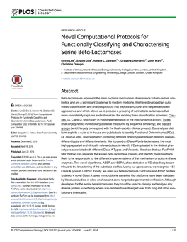 Novel Computational Protocols for Functionally Classifying and Characterising Serine Beta-Lactamases