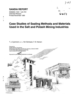 Case Studies of Sealing Methods and Materials Used in the Salt and Potash Mining Industries