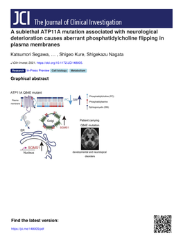 A Sublethal ATP11A Mutation Associated with Neurological Deterioration Causes Aberrant Phosphatidylcholine Flipping in Plasma Membranes