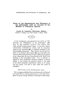 Notes on the Segmentation and Phylogeny of the Arthropoda, with an Account of the Maxillae in Polyxenus Lagurus