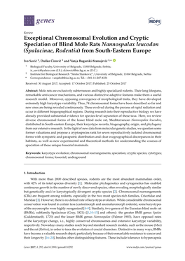 Exceptional Chromosomal Evolution and Cryptic Speciation of Blind Mole Rats Nannospalax Leucodon (Spalacinae, Rodentia) from South-Eastern Europe