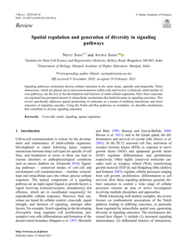 Spatial Regulation and Generation of Diversity in Signaling Pathways