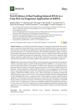 First Evidence of Bud Feeding-Induced Rnai in a Crop Pest Via Exogenous Application of Dsrna