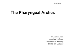 The Pharyngeal Arches [PDF]