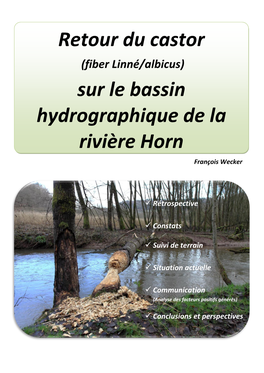 Retour Du Castor Sur Le Bassin Hydrographique De La Rivière Horn