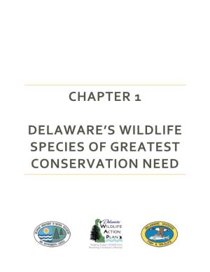 Delaware's Wildlife Species of Greatest Conservation Need