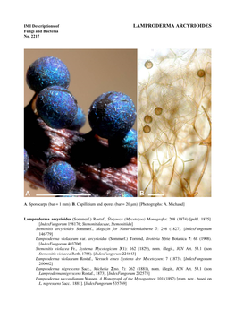 LAMPRODERMA ARCYRIOIDES Fungi and Bacteria No