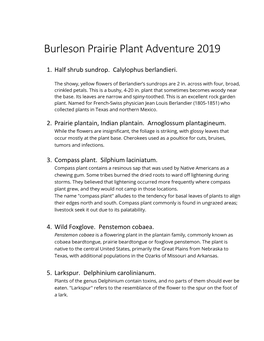 Burleson Prairie Plant Adventure 2019