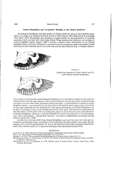 1980 SHORT NOTES 117 Sexual Dimorphism and Co-Operath'e Breeding in the Striped Kingfisher According to Handbooks and Field Guid