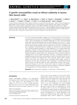 Yspecific Microsatellites Reveal an African Subfamily in Taurine (Bos