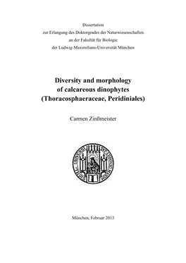 Diversity and Morphology of Calcareous Dinophytes (Thoracosphaeraceae, Peridiniales)