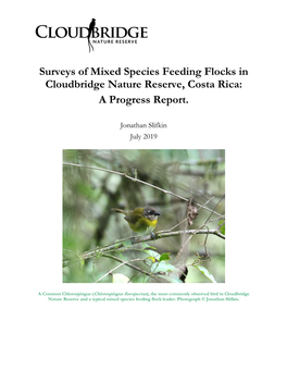 Surveys of Mixed Species Feeding Flocks in Cloudbridge Nature Reserve, Costa Rica: a Progress Report