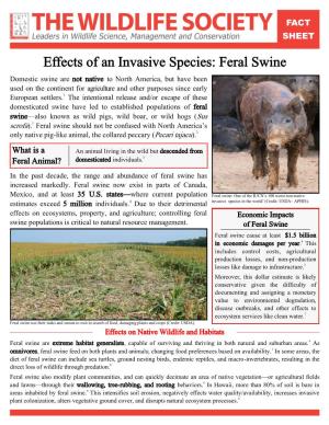 Effects of an Invasive Species: Feral Swine