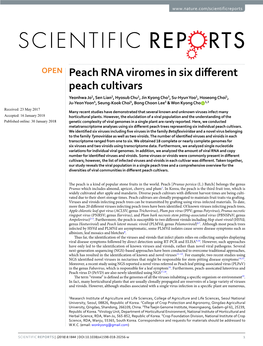 Peach RNA Viromes in Six Different Peach Cultivars