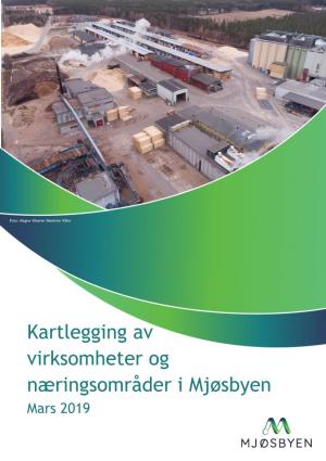 Kartlegging Av Virksomheter Og Næringsområder I Mjøsbyen Mars 2019