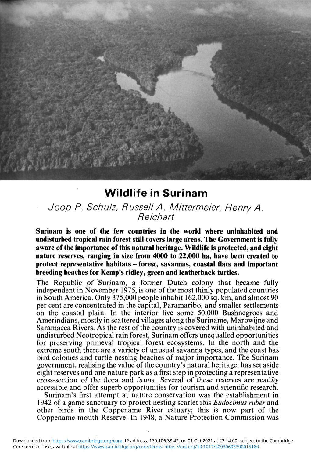 Wildlife in Surinam Joop P