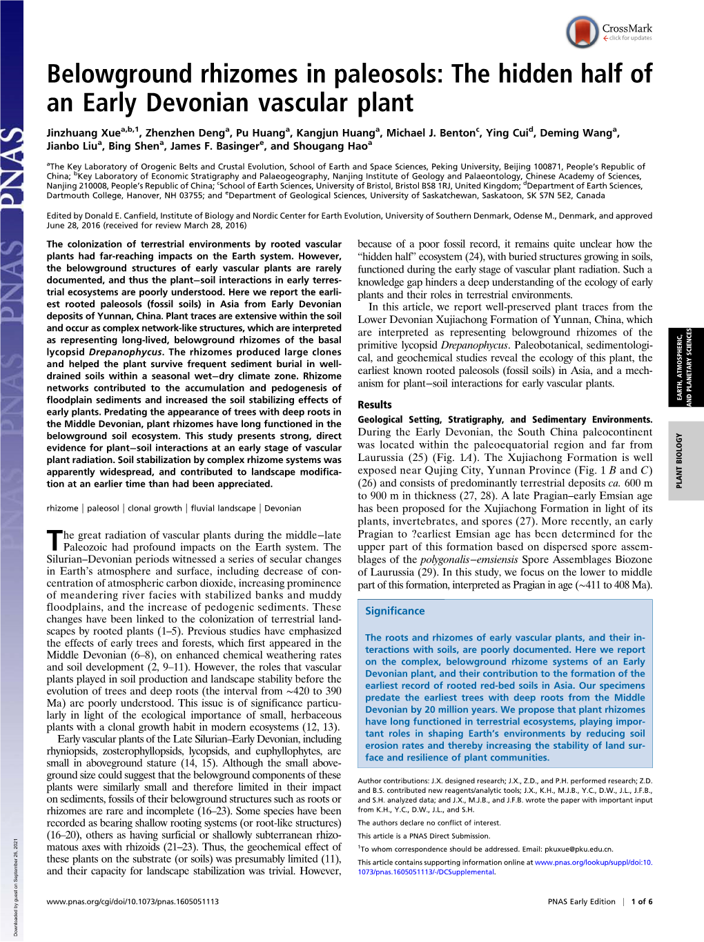 Belowground Rhizomes in Paleosols: the Hidden Half of an Early Devonian Vascular Plant