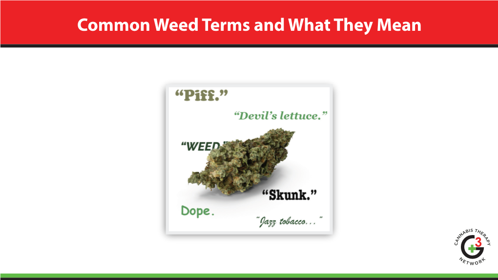 Common Weed Terms and What They Mean Common Weed Terms and What They Mean