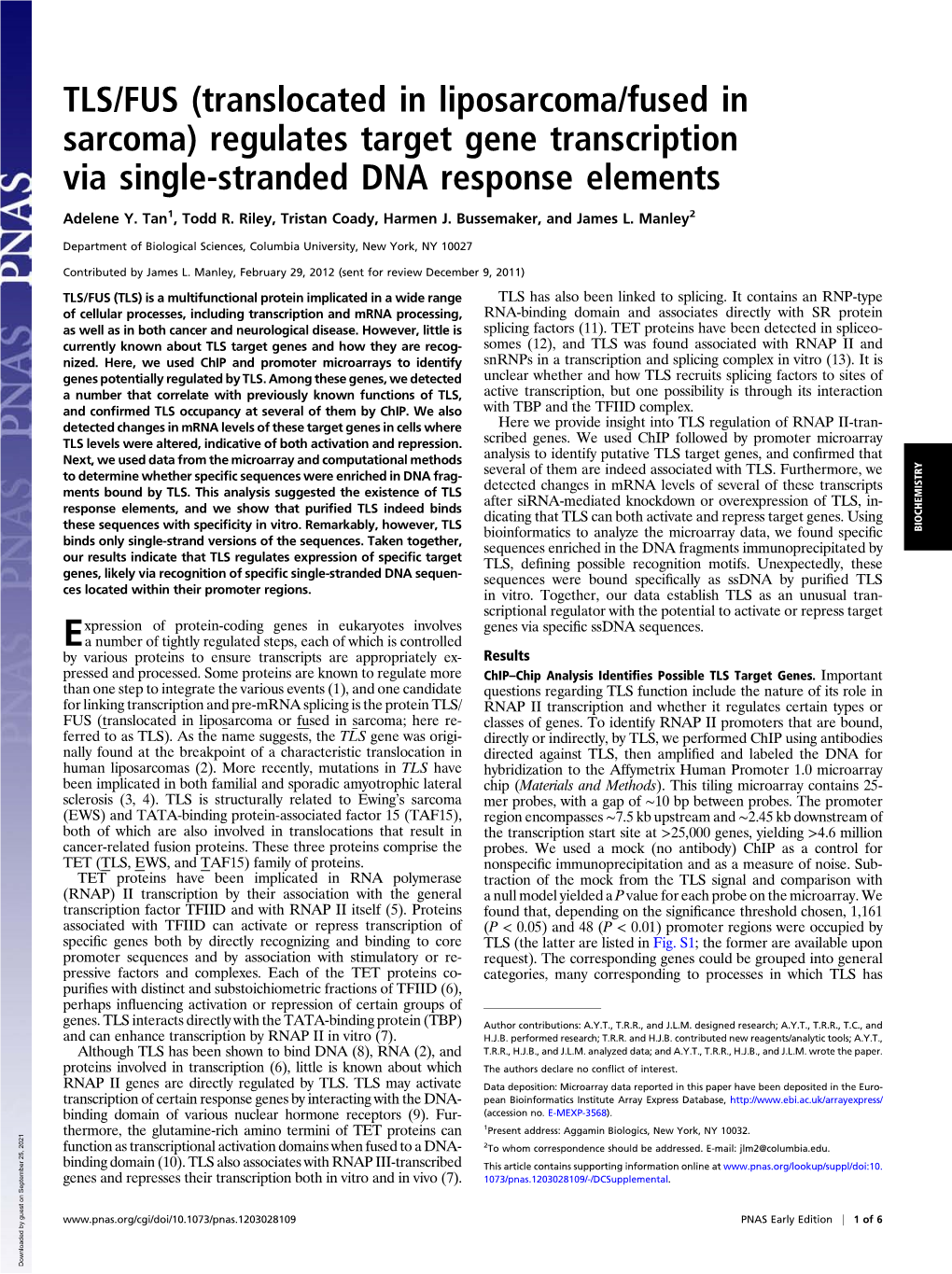 Regulates Target Gene Transcription Via Single-Stranded DNA Response Elements