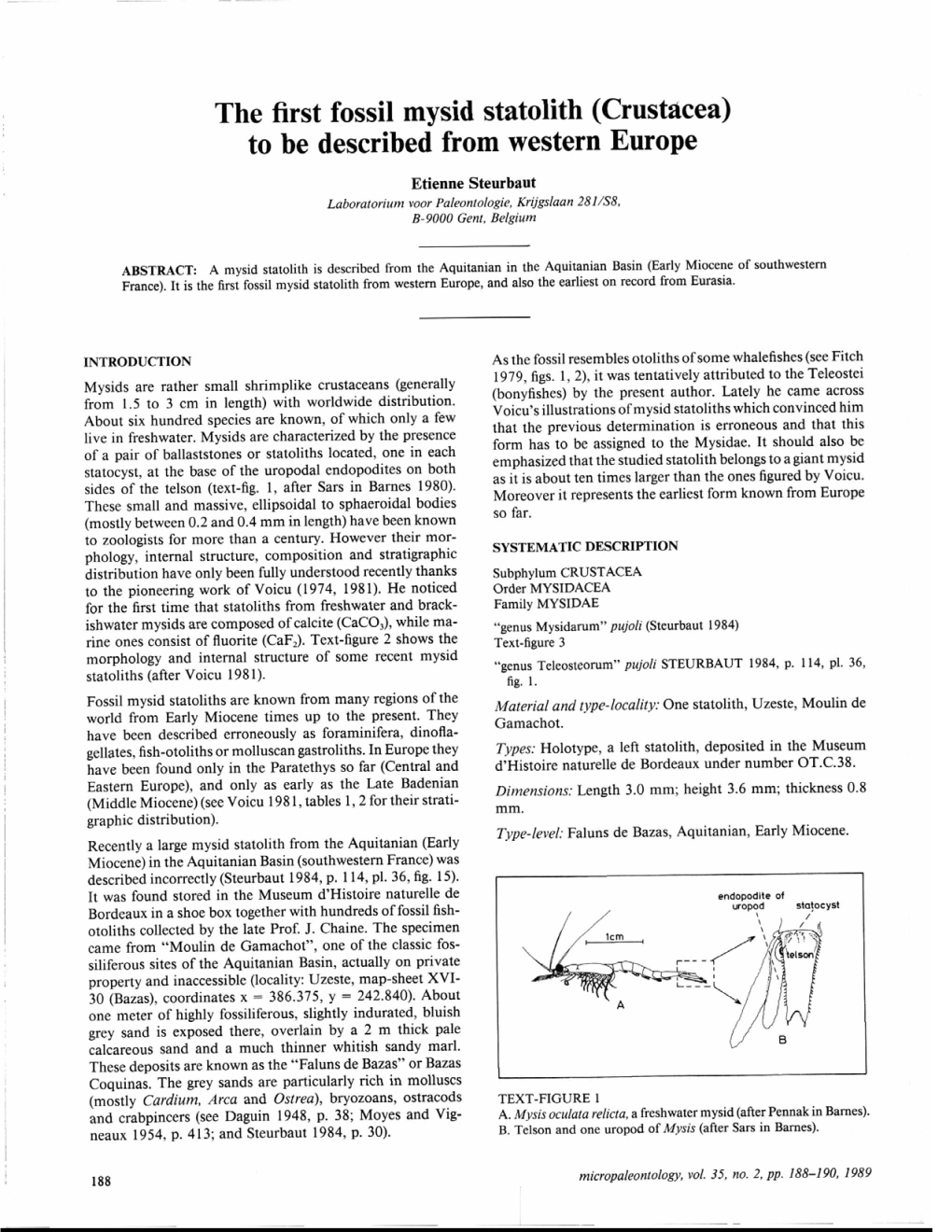 The First Fossil Mysid Statolith (Crustacea) to Be Described From