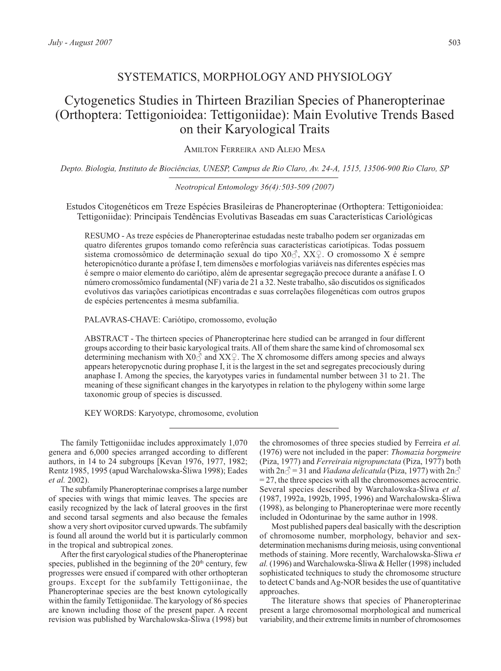 Orthoptera: Tettigonioidea: Tettigoniidae): Main Evolutive Trends Based on Their Karyological Traits