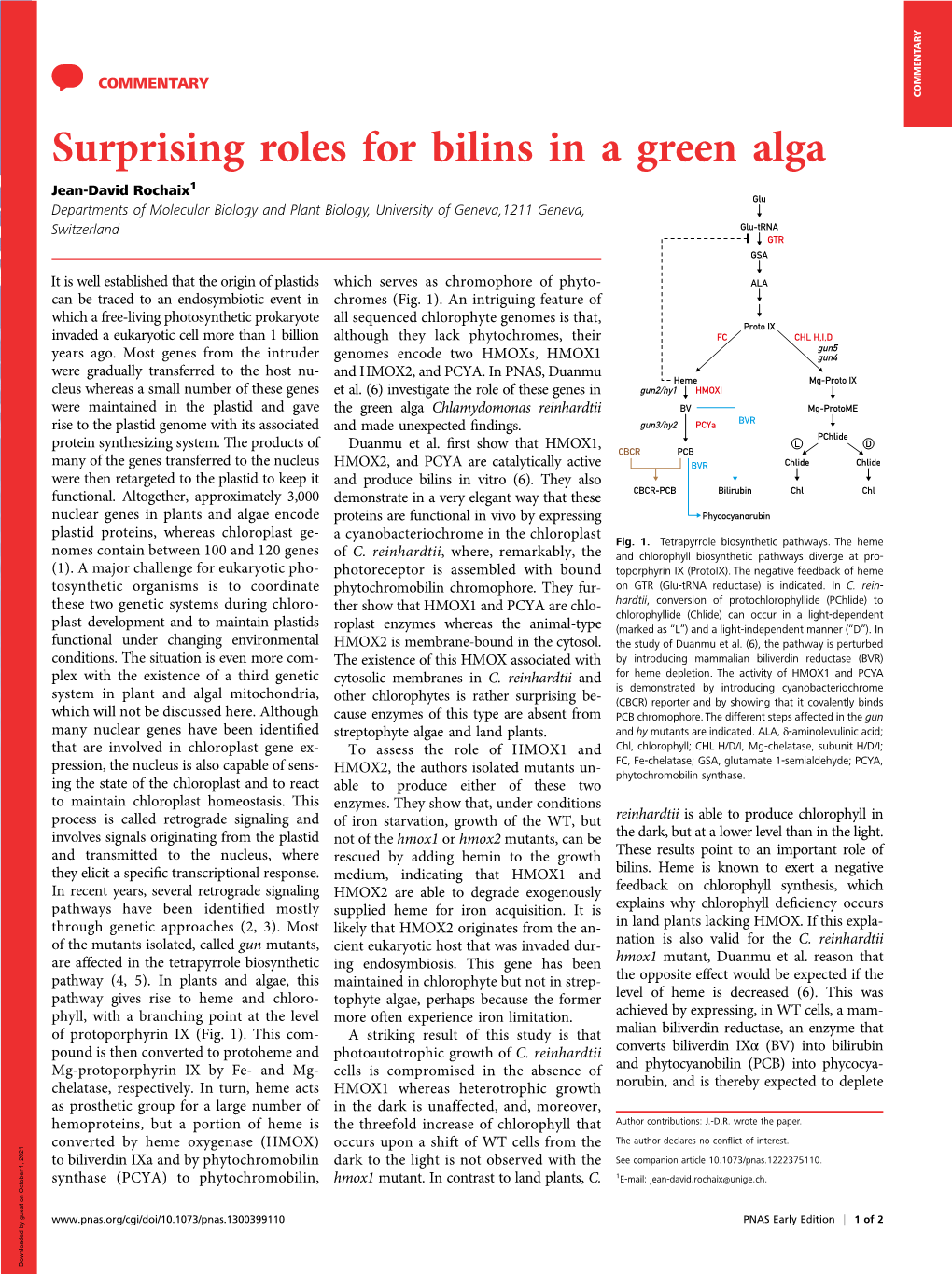 Surprising Roles for Bilins in a Green Alga Jean-David Rochaix1 Departments of Molecular Biology and Plant Biology, University of Geneva,1211 Geneva, Switzerland