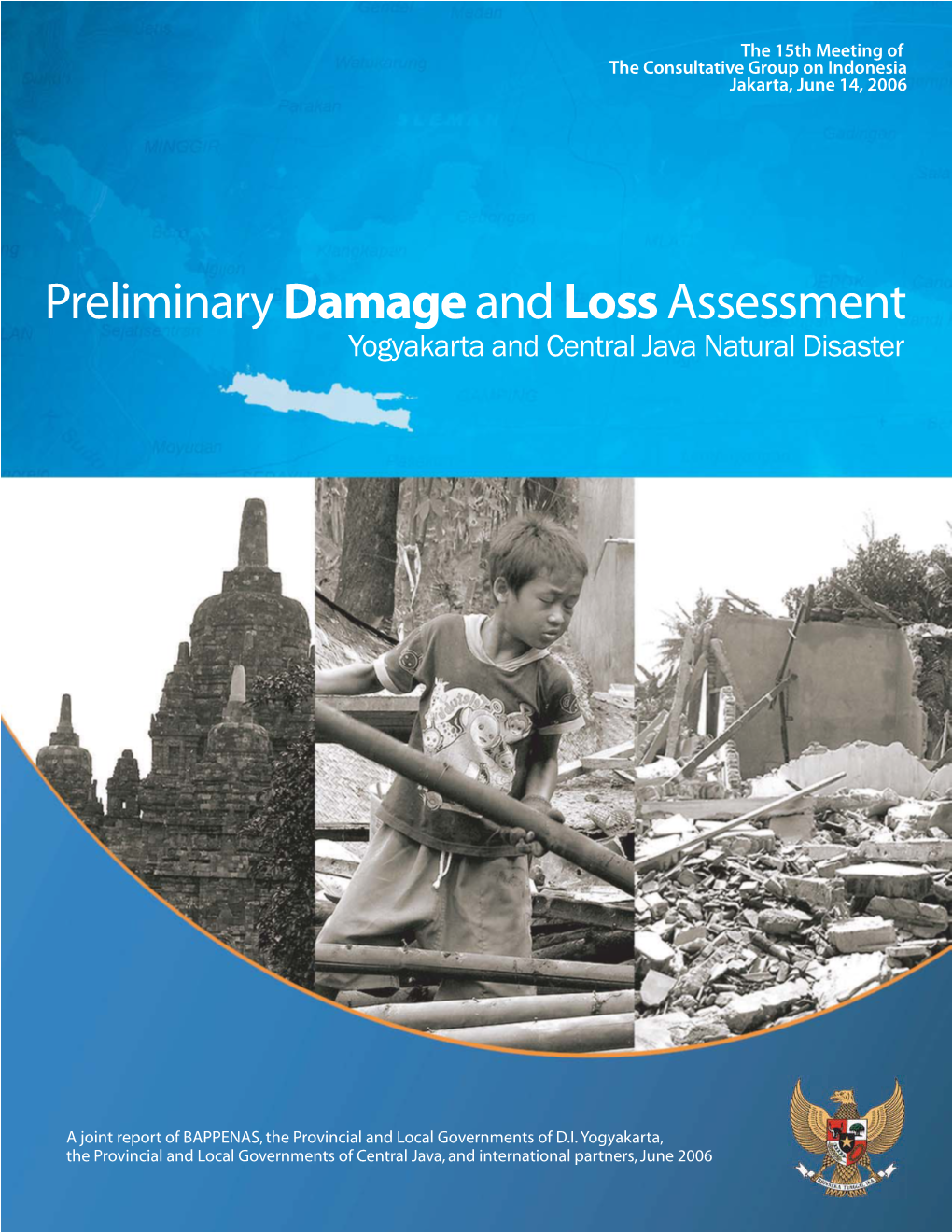 Preliminary Damageandloss Assessment