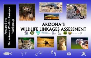 Arizona's Wildlife Linkages Assessment