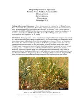 Hoary Alyssum Plant Pest Risk Assessment