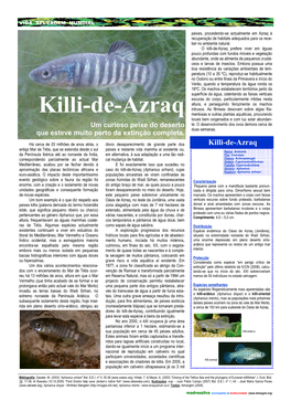Killi-De-Azraq Prefere Viver Em Águas Pouco Profundas Com Fundos Móveis E Vegetação Abundante, Onde Se Alimenta De Pequenos Crustá- Ceos E Larvas De Insectos