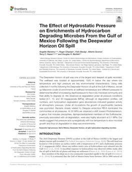 The Effect of Hydrostatic Pressure on Enrichments of Hydrocarbon Degrading Microbes from the Gulf of Mexico Following the Deepwater Horizon Oil Spill